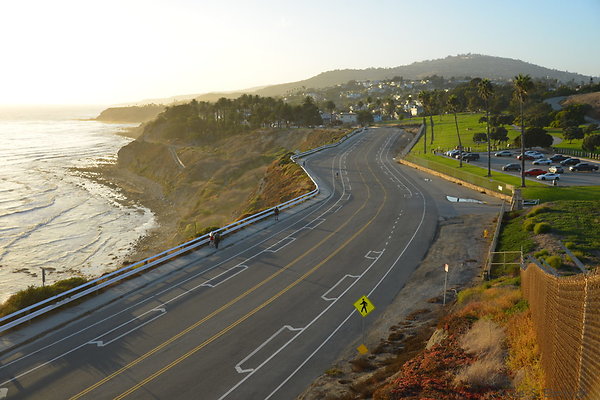 DSC 5461