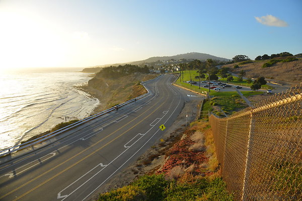 DSC 5460
