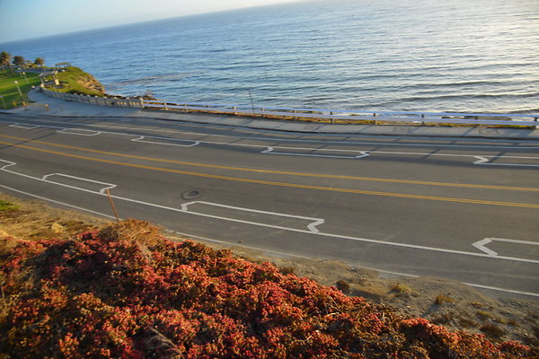 DSC 5396