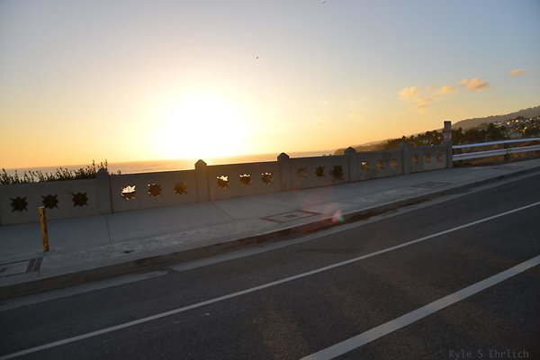 DSC 5600