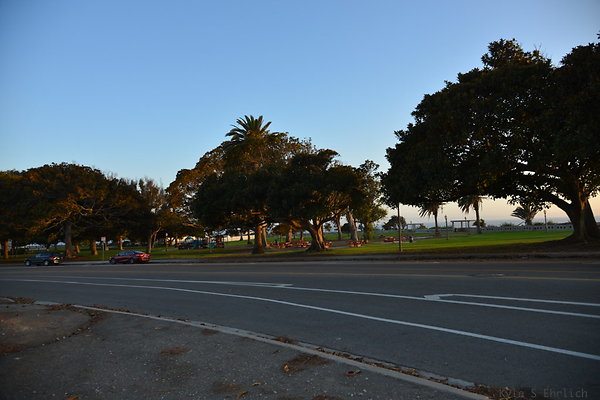 DSC 5631