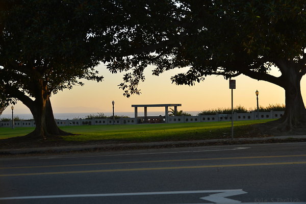 DSC 5630