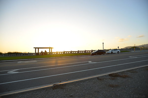 DSC 5618
