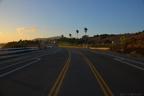 DSC 5572