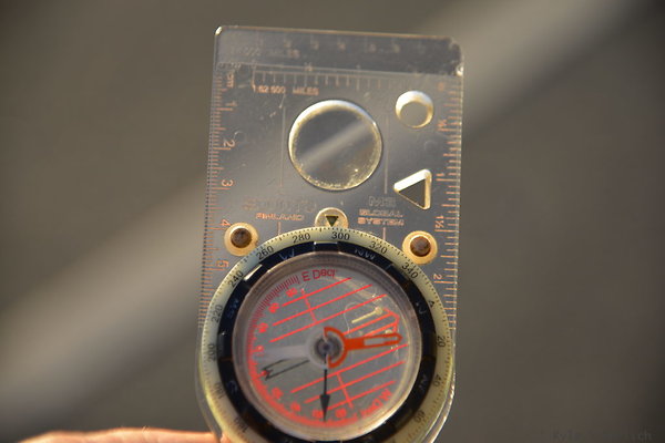 DSC 5317
