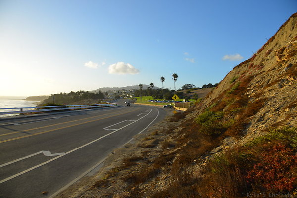 DSC 5350