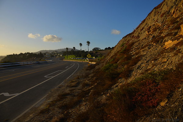 DSC 5333