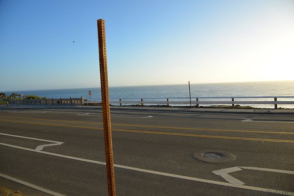 DSC 5348