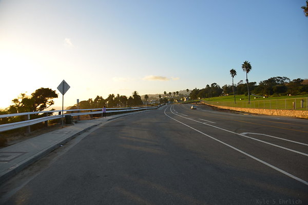 DSC 5533