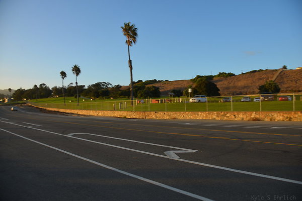 DSC 5534