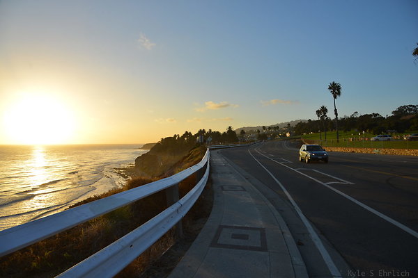 DSC 5554