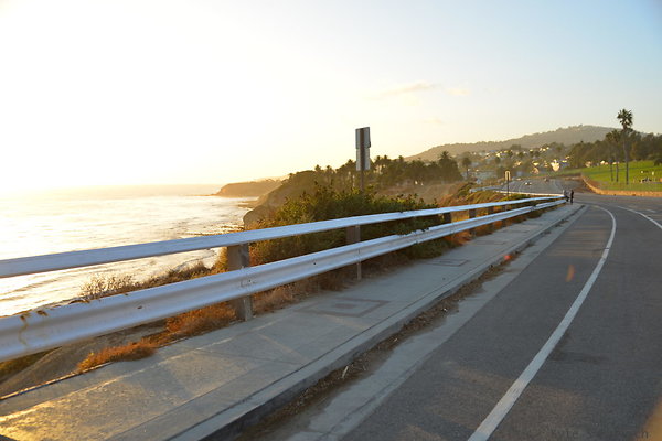 DSC 5556