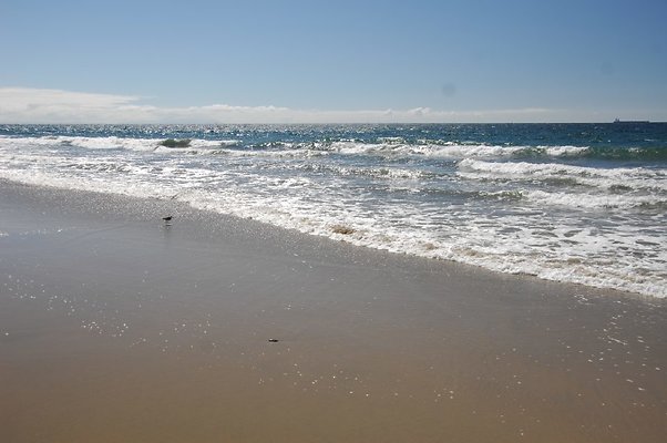 DSC 0069