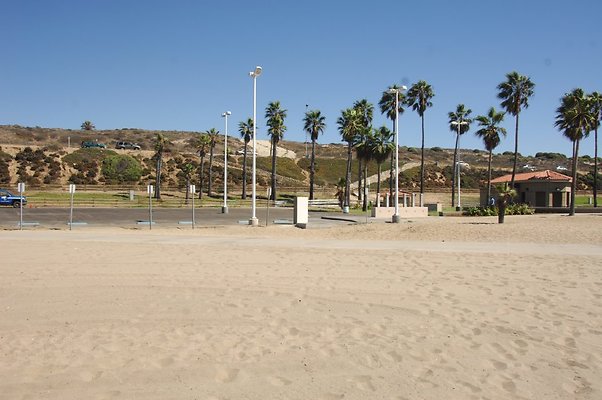 DSC 0219