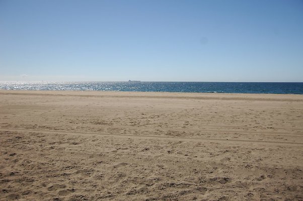 DSC 0117
