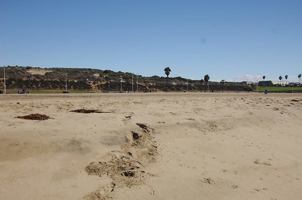 DSC 0055