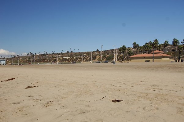 DSC 0054