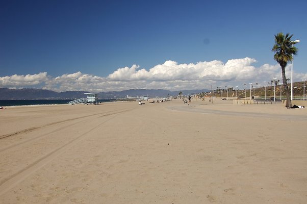 DSC 0023