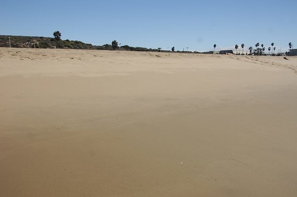 DSC 0067