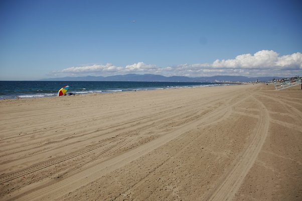 DSC 0093