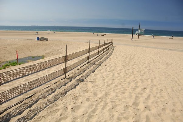 DSC 1409