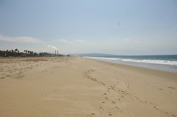 DSC 1455