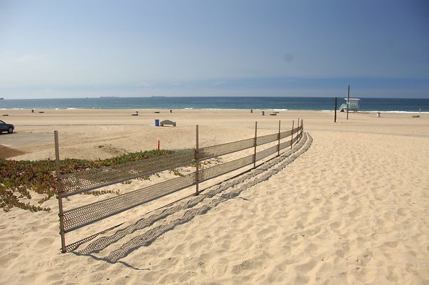 DSC 1406