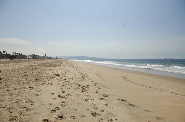 DSC 1453