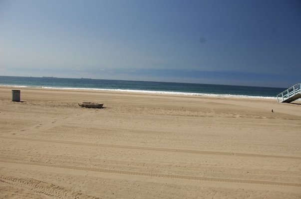 DSC 1437