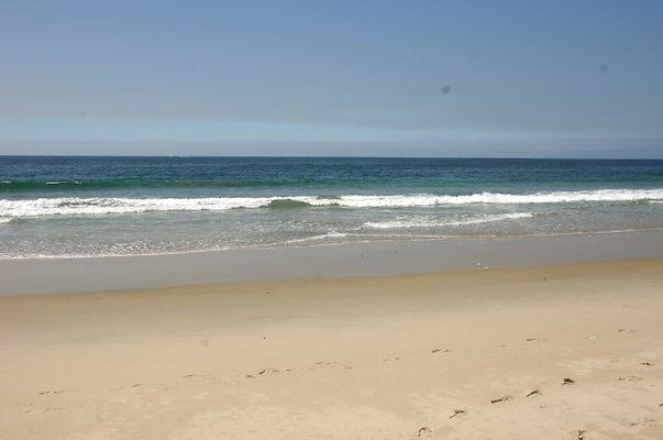 DSC 1460