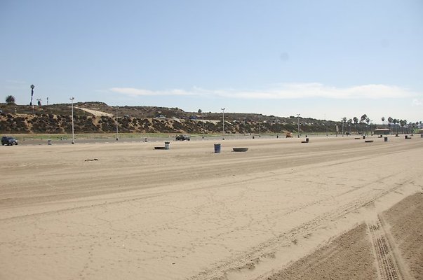 DSC 1446