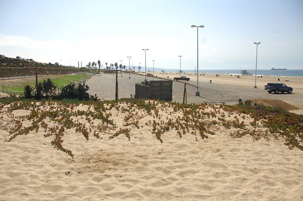 DSC 1405