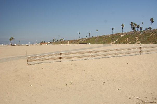 DSC 1394