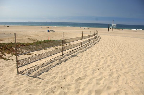 DSC 1402