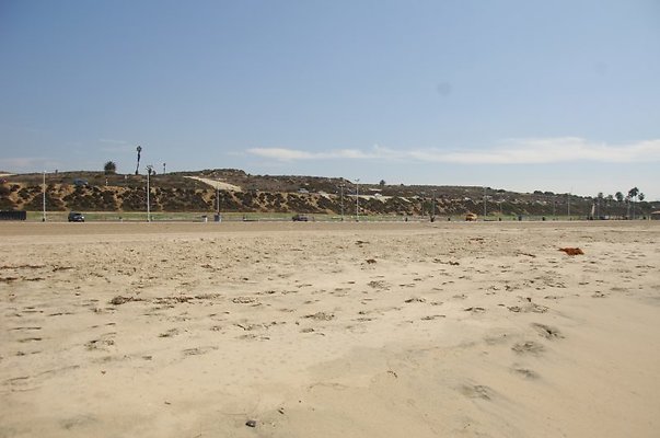 DSC 1454
