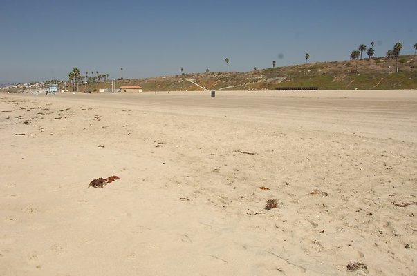 DSC 1462
