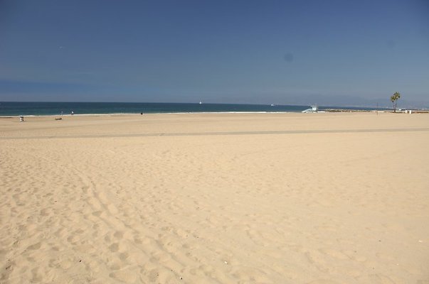 DSC 1407