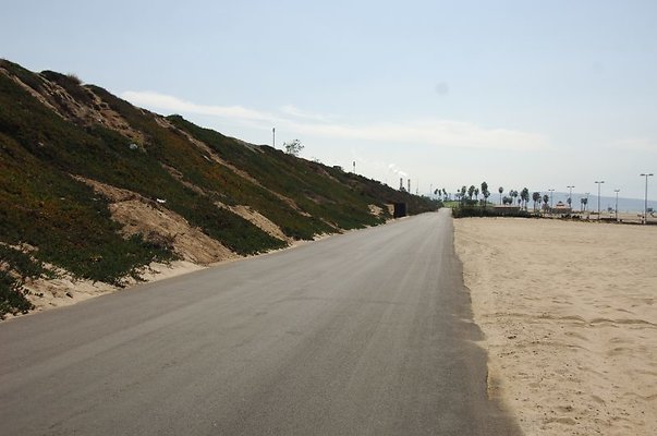 DSC 1377
