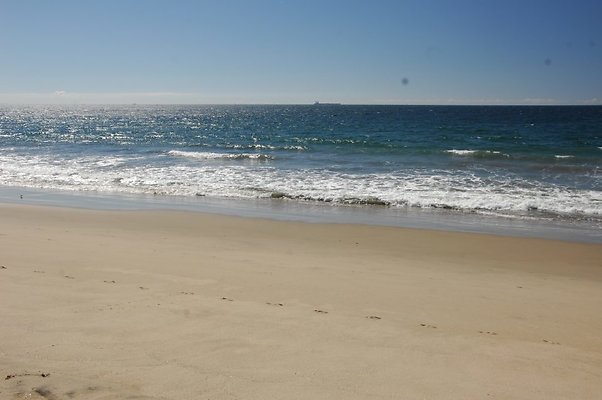 DSC 0139