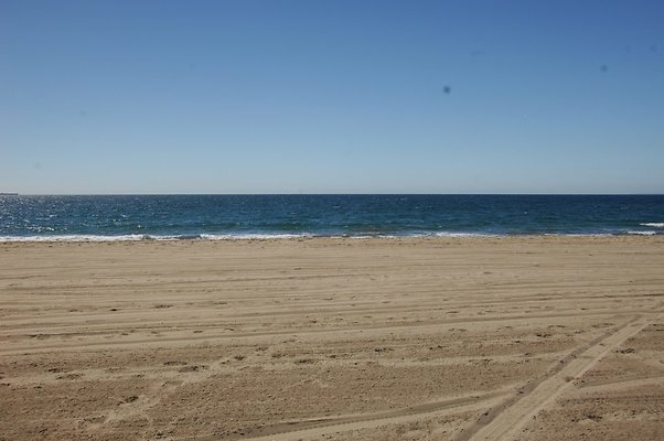 DSC 0131