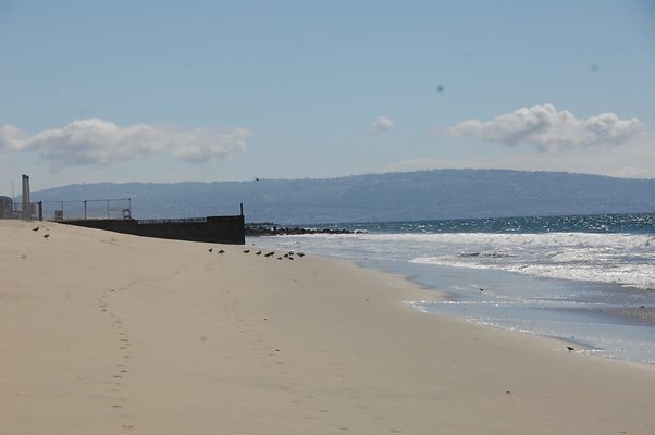 DSC 0142