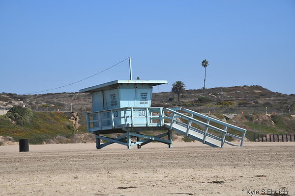 DSK 8001