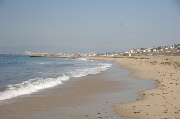 DSC 1141