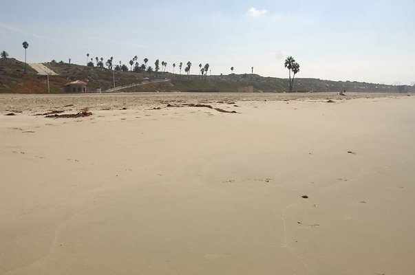 DSC 1177