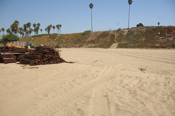 DSC 1343