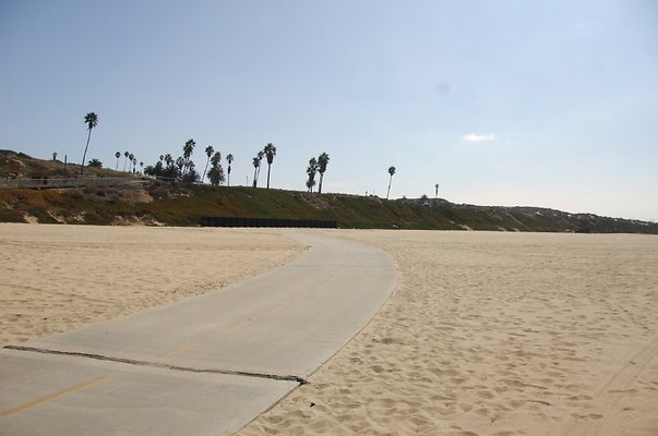 DSC 1234