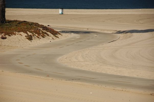 DSC 1359