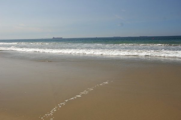 DSC 1179