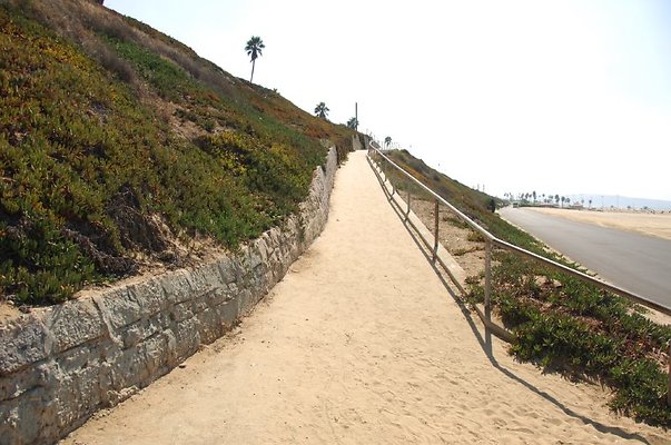 DSC 1269