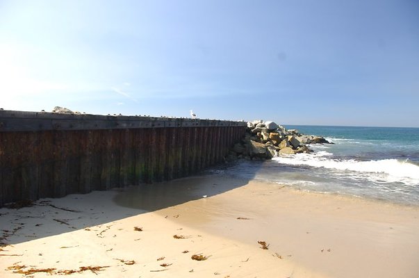 DSC 1137